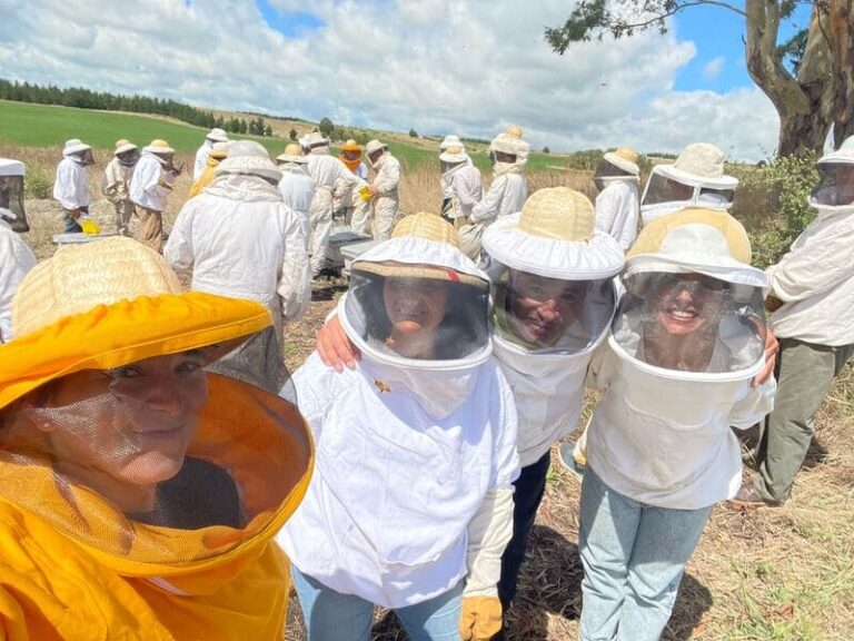 Escuela de apicultura forma nuevos productores y les entrega colmenas al graduarse