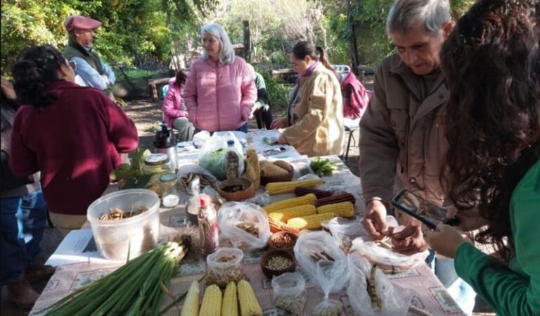 Multiplican semillas nativas con técnicas ancestrales para garantizar soberanía alimentaria