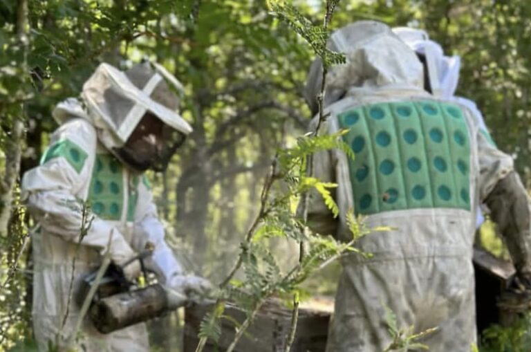 Elaboran sprays orales y cremas terapéuticas a base de miel