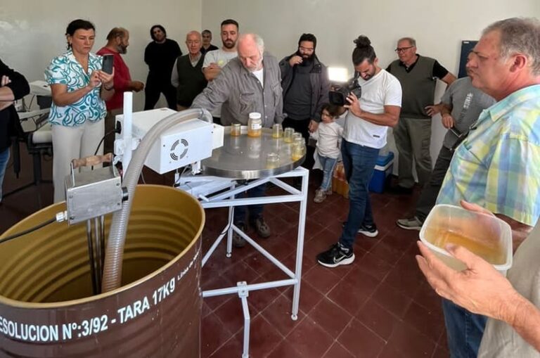 Lanzaron proyecto para vender miel fraccionada con certificación de origen
