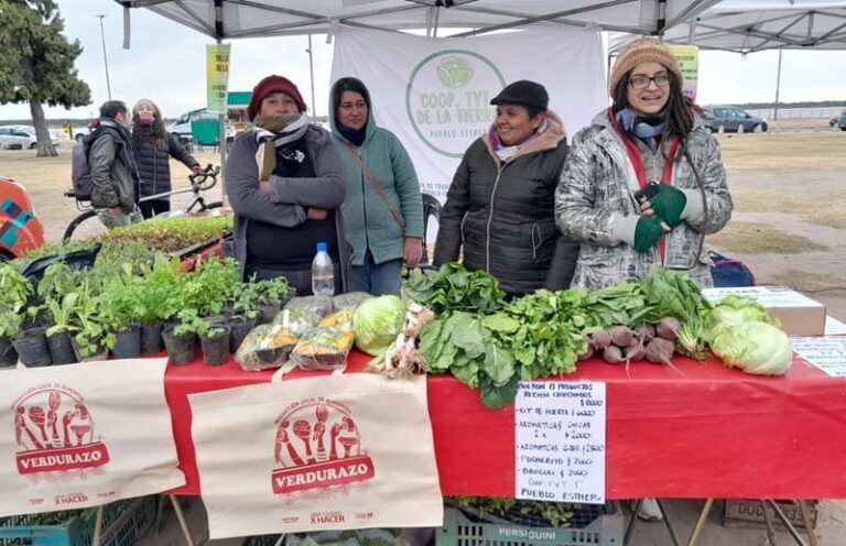 Comercializan bolsones directo al consumidor en Rosario