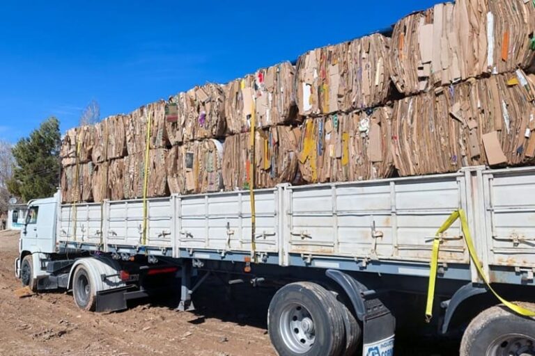 Despachan 23 toneladas de cartón para su reutilización