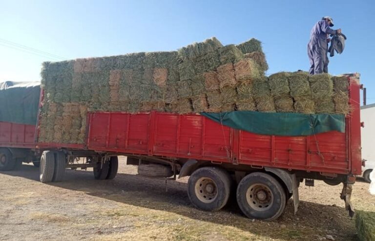 Distribuyen forraje a productores afectados por sequía