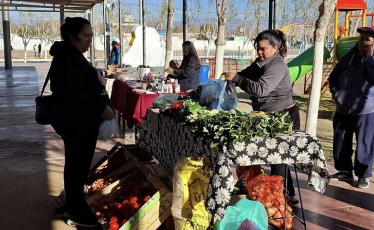 Impulsan una feria agroproductiva para ofrecer cultivos frescos a precios justos