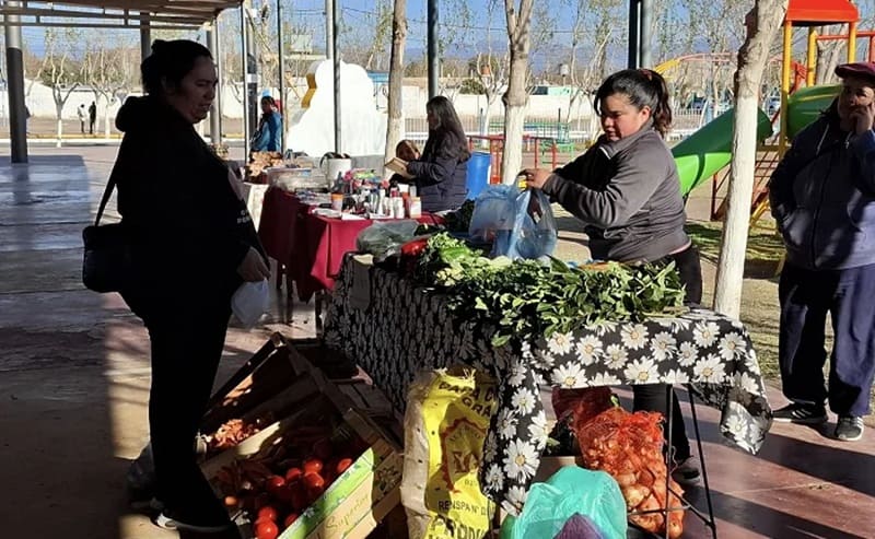 Impulsan una feria agroproductiva para ofrecer cultivos frescos a precios justos.