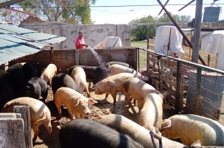 Reactivan producción tras las pérdidas por la inundación