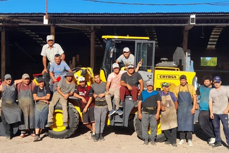 Exportan pallets de madera tratada térmicamente