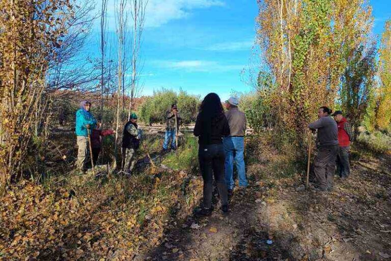Impulsan la producción de semillas agroecológicas