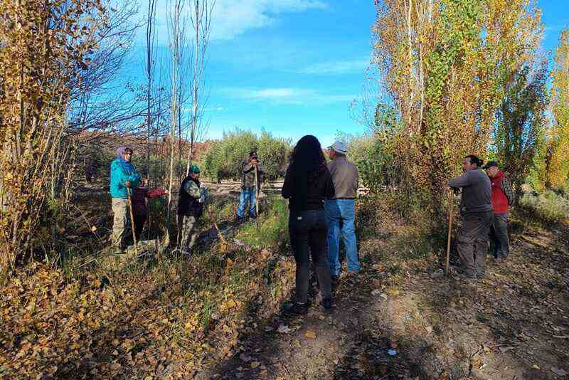 Impulsan la producción de semillas agroecológicas