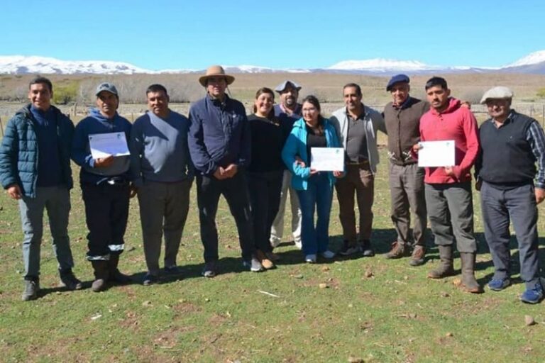 Mujeres se capacitan en esquila y acondicionamiento de lana