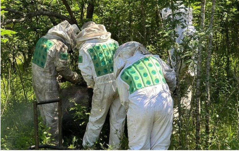 Priorizan tratamientos naturales en sus colmenas