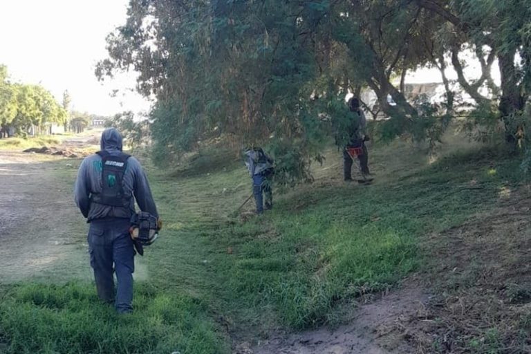 Adaptan sus tareas para conservar las fuentes de trabajo