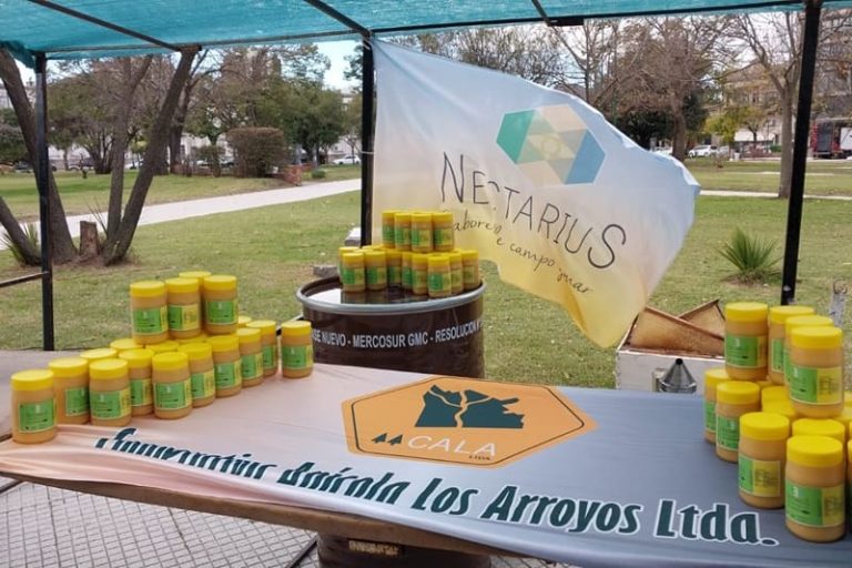 Adquieren entre 1200 y 1500 tambores vacíos por compra colectiva