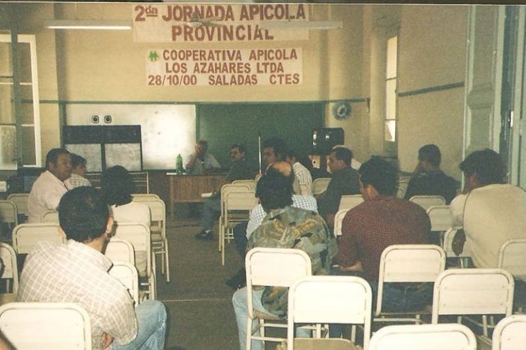 Crearon una fiesta provincial dedicada a la miel