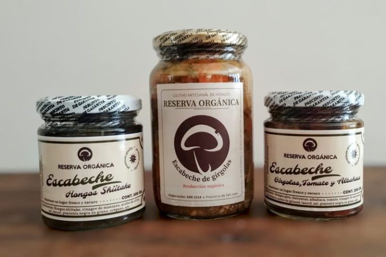 Cultivan hongos gourmet y funcionales en condiciones climáticas extremas