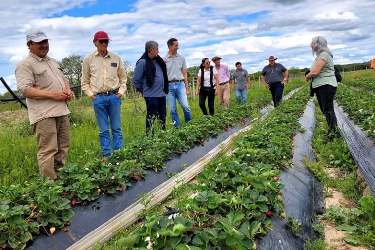 La producción agroecológica suma fuerza