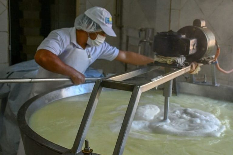 Mejoran el rendimiento lechero con genética bovina especializada