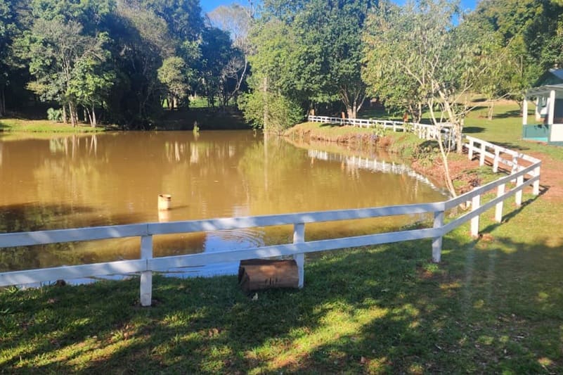 Producen alevines de carpa, pacú y tilapia