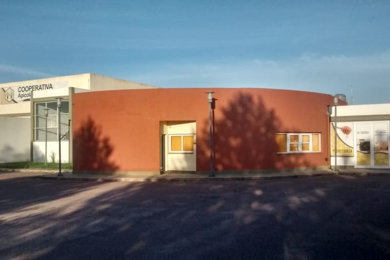 Producen miel clara y oscura para mercados internacionales