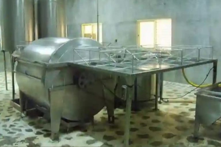 Producen miel orgánica certificada en el monte nativo chaqueño