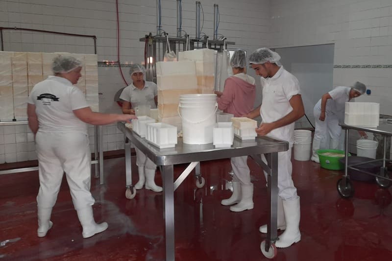 Recorren 250 kilómetros diarios para recolectar leche