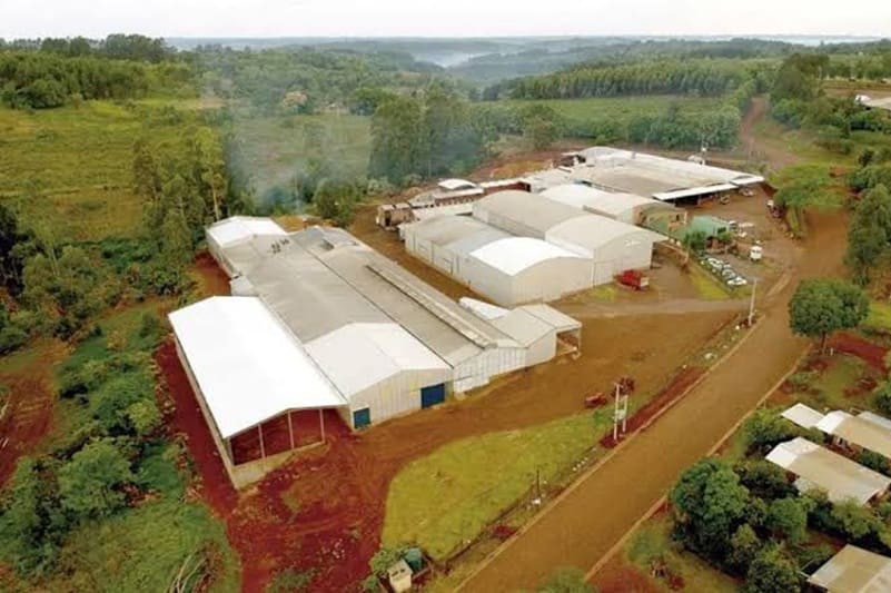 Eliminan ente que garantizaba un precio minimo para la yerba