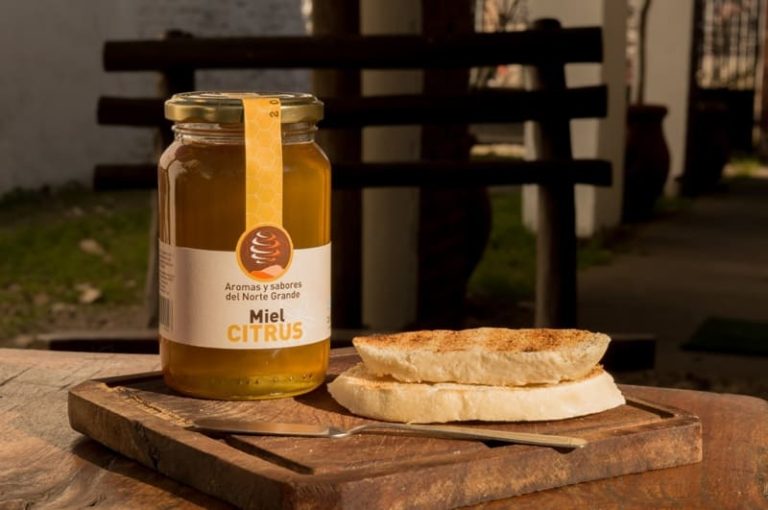 Exportan miel a Europa con sello de Comercio Justo