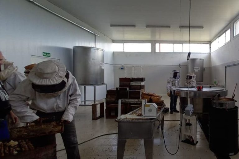 Habilitaron una planta de extracción ante el Senasa