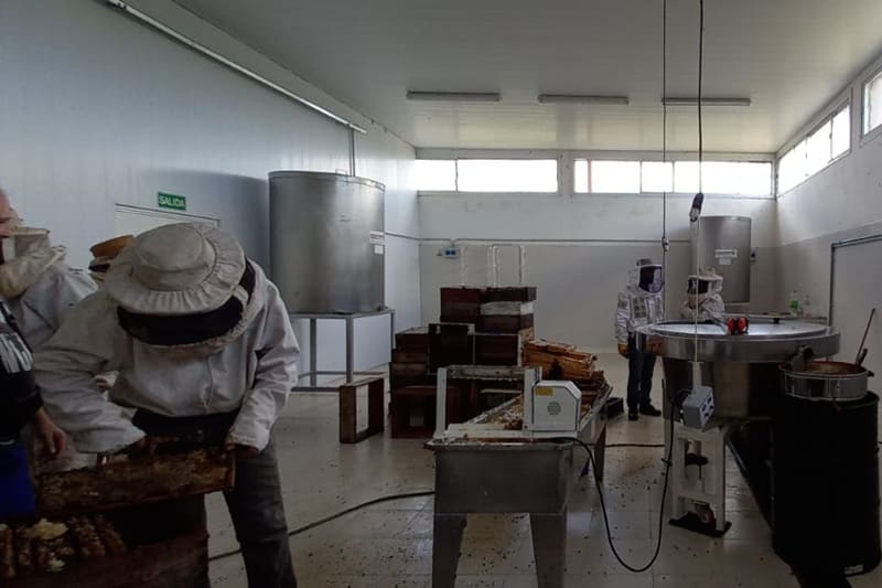 Habilitaron una planta de extracción ante el Senasa