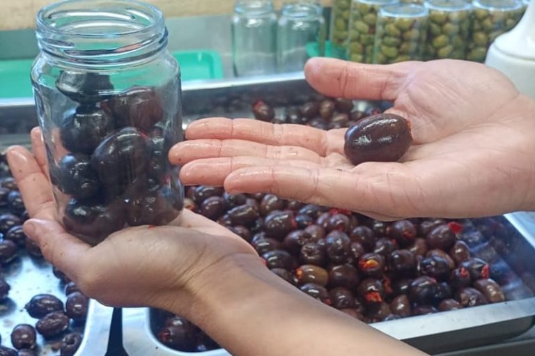 Llegan con alimentos regionales a mesas de todo el país