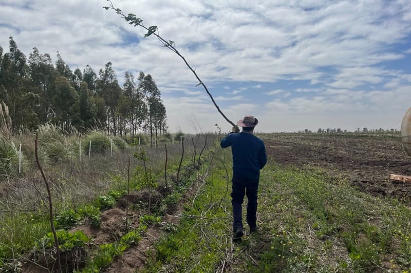 Un humedal de 120 hectáreas como aula a cielo abierto