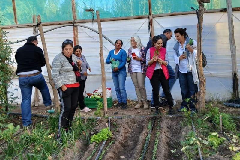 Cultivan una hectárea de aromáticas con apoyo técnico especializado