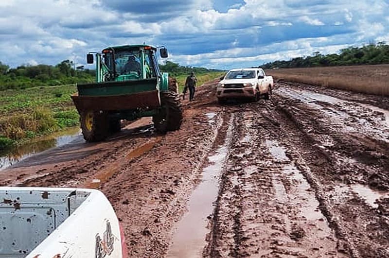 Reponen postes eléctricos dañados por un temporal en el norte chaqueño