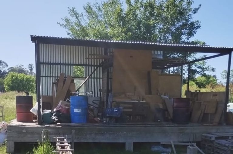 Apadrinan árboles nativos con estudiantes