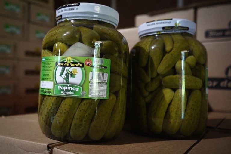 Elaboran pepinillos que llegan a todo el país