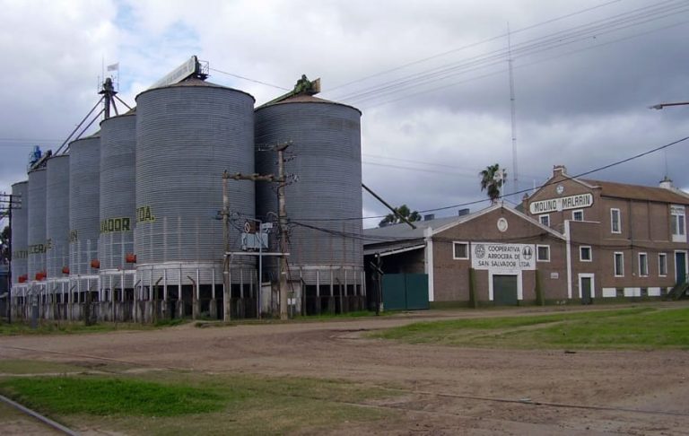 Cesan la comercialización de arroz