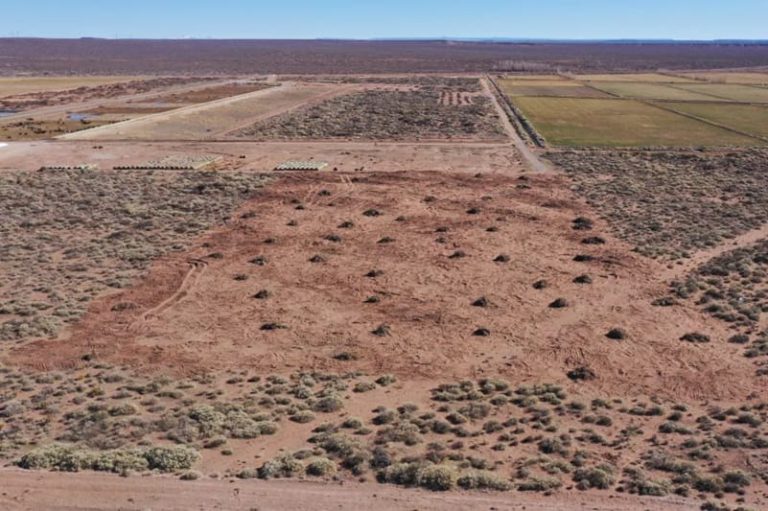 Construirán planta de heno en Zapala