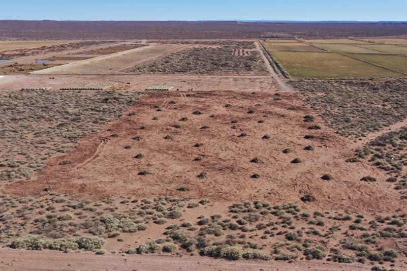 Construirán planta de heno en Zapala