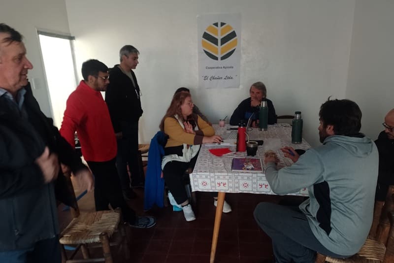 Geolocalizan apiarios con herramientas tecnológicas