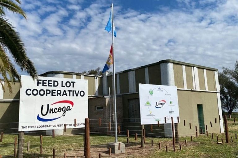Obtienen certificación laboral agropecuaria