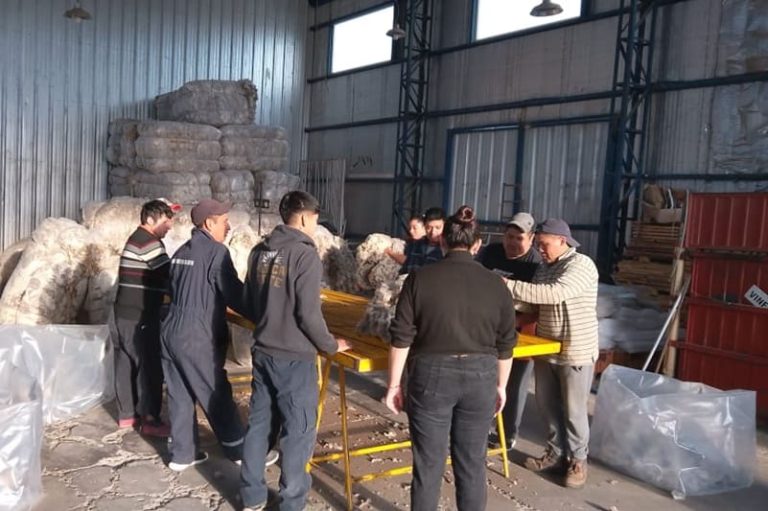 Producción lanera y diversificación en el corazón de la meseta patagónica