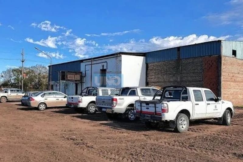 Reconvertirán frigorífico ovino a porcino