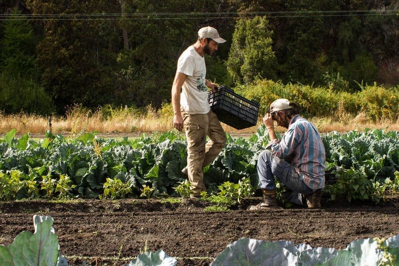 Ampliaron la producción tras mudarse a un nuevo campo