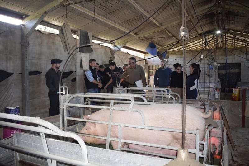 Analizaron nuevas normativas sanitarias para la producción porcina