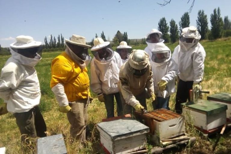Avanzan en certificaciones para exportar miel fraccionada