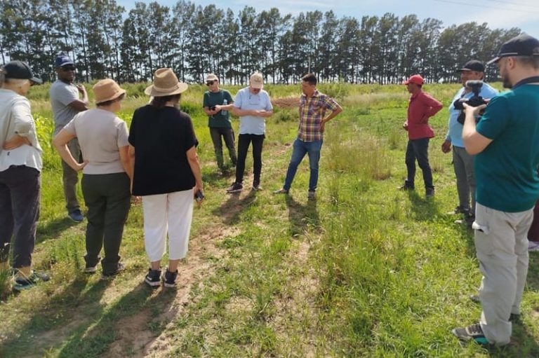 Impulsan plantinera comunitaria para iniciar trabajo colectivo hortícola