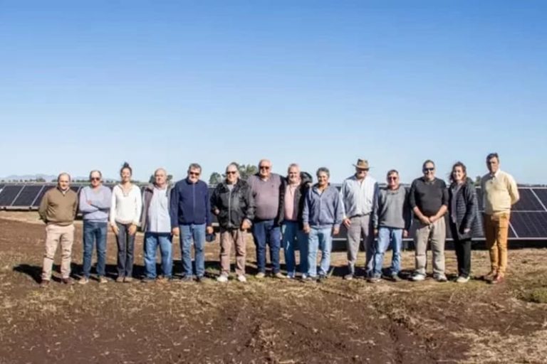 Inauguraron parque solar comunitario con más de mil paneles