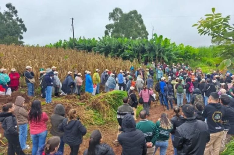 Intercambian semillas criollas en Pozo Azul