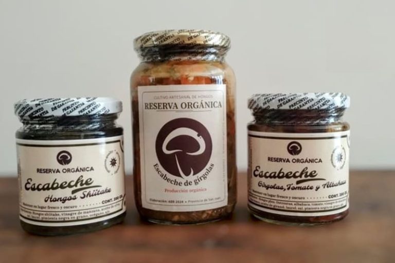 Cultivan gírgolas en ambientes especialmente acondicionados