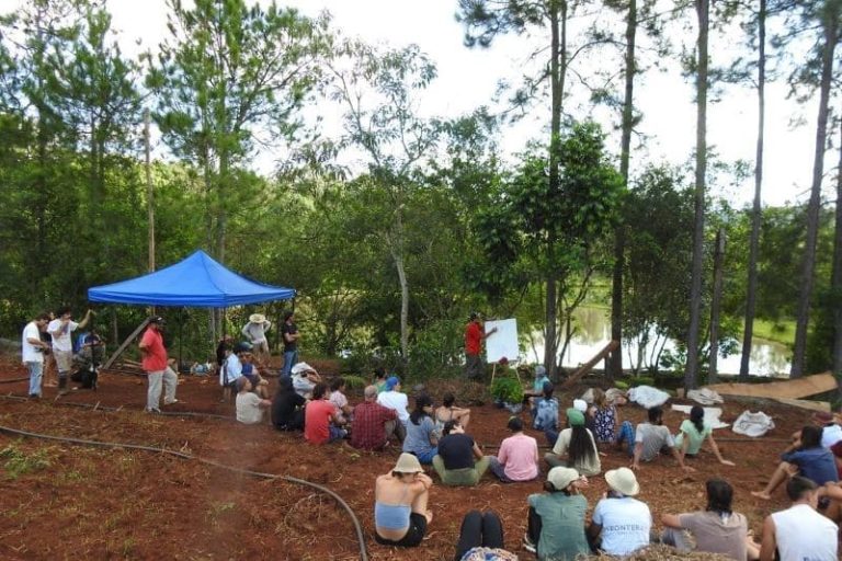 Recuperan tierras degradadas mediante sistemas biodiversos
